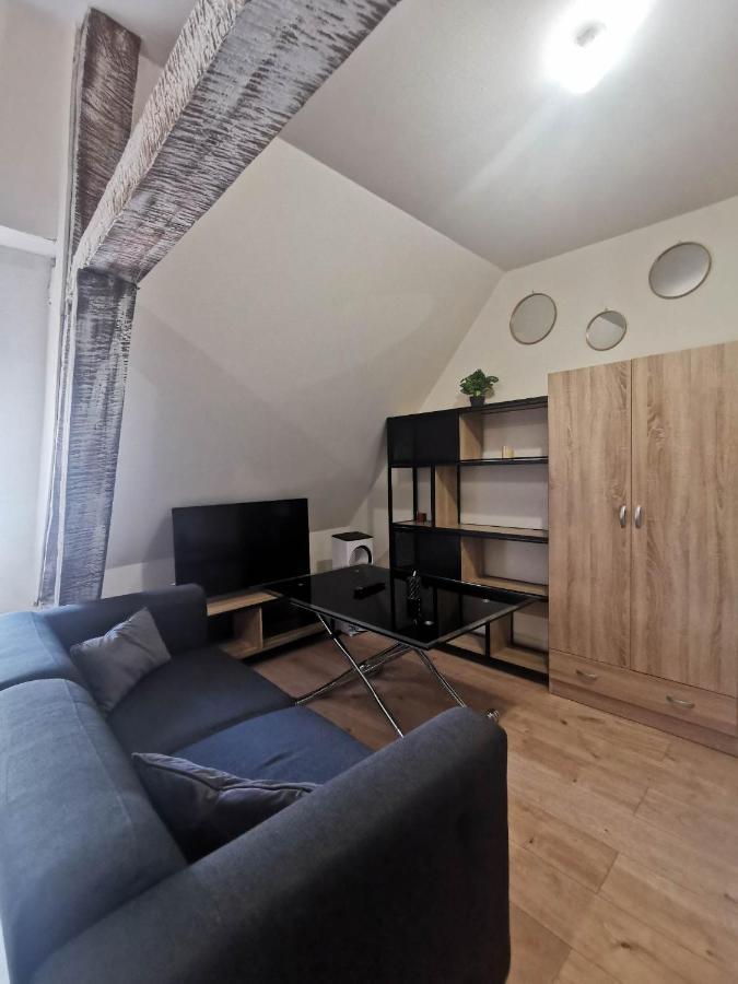 La Marmotte De La Cathedrale - Calme - Jardin Apartment Troyes Ngoại thất bức ảnh