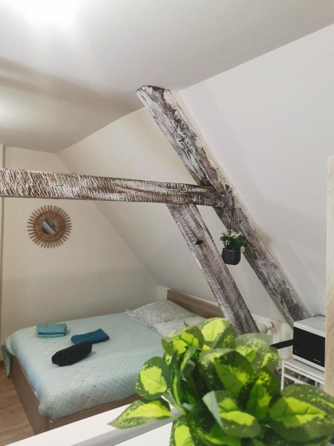 La Marmotte De La Cathedrale - Calme - Jardin Apartment Troyes Ngoại thất bức ảnh